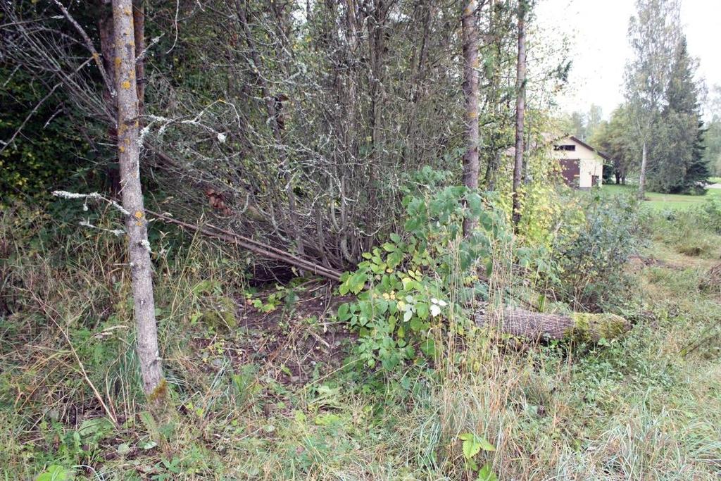 26 Röykkiö 2016-1 N 6806385 E 278009 Röykkiön havaitsi Adel vuonna 2016, jolloin hän löysi röykkiön pinnalta palanutta savea, palaneen kiven paloja ja pienen rautapellin palan.