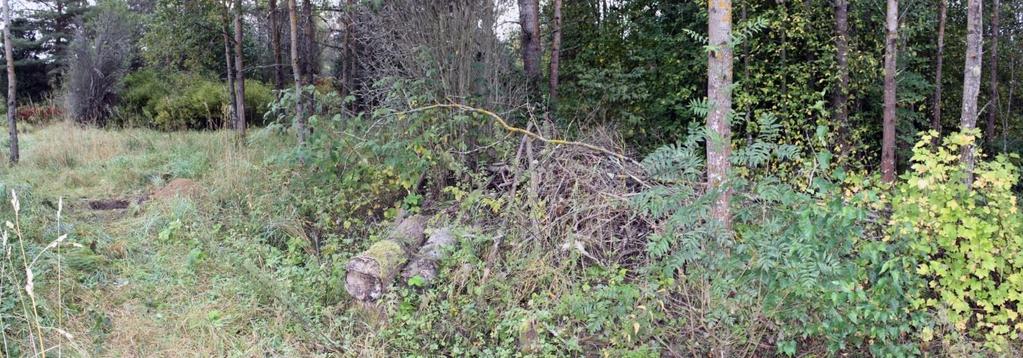 Vuoden 1912 tilauskartalla röykkiö sijoittuu viljelemättömälle karttakuviolle pellon reunan viereen.