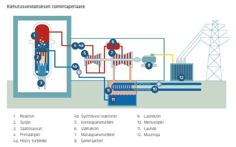 15 Kuva 2. Kiehutusvesilaitoksen toimintaperiaate (TVO).