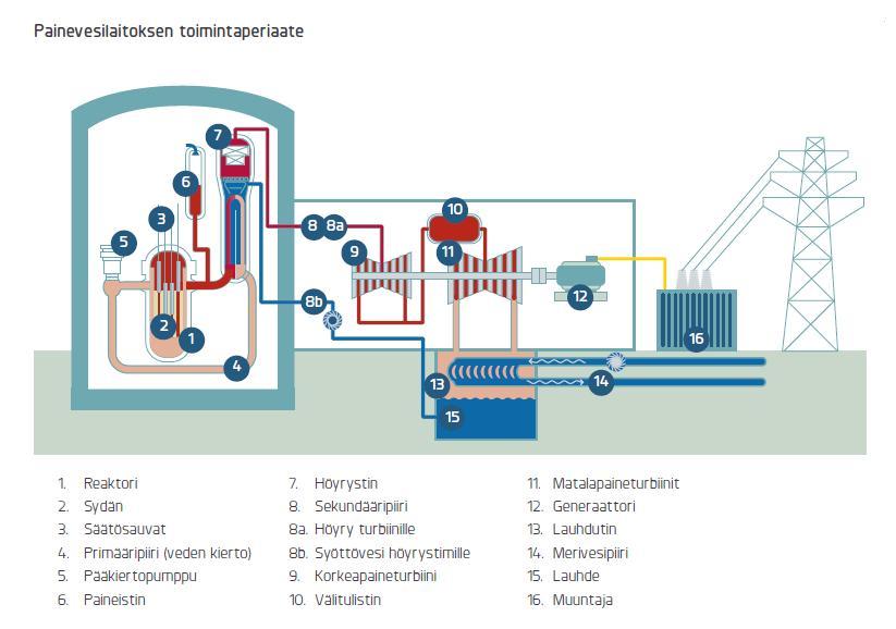 16 Kuvassa 3: Primääripiirissä (4) pääkiertopumppujen (5) avulla kiertävä jäähdyte (vesi) johdetaan reaktorin sydämen (2) läpi, jolloin se lämpenee reaktorisydämessä tapahtuneen fission vaikutuksesta.