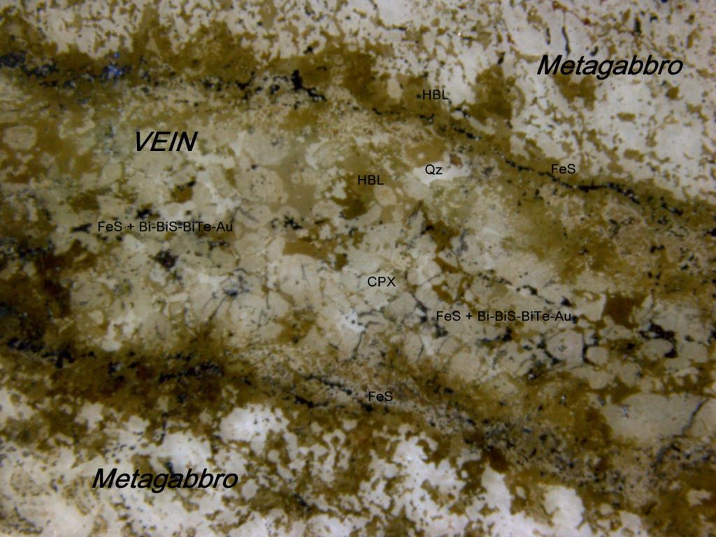 Juoni on vyöhykkeellinen: keskiosassa vallitseva mineraali on klinopyrokseenia (väritön kuvassa), muut mineraalit sarvivälkettä, biotiittia,