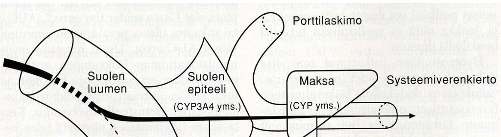 1. Imeytyminen: ruokailun vaikutus Ruoka yleensä hidastaa imeytymistä lisää hyötyosuutta - esim.