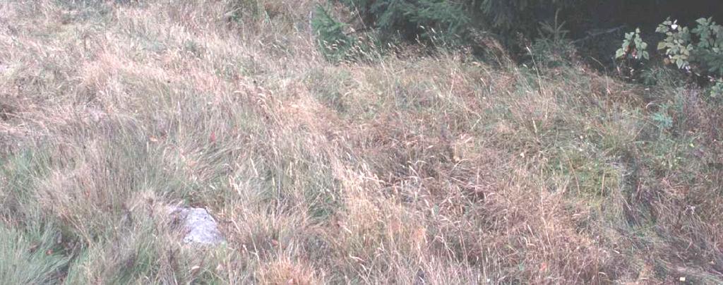 Rinteessä sijaitseva pohjakaavaltaan u:n muotoinen maavallin kolmelta puolelta ympäröimä kuoppa.