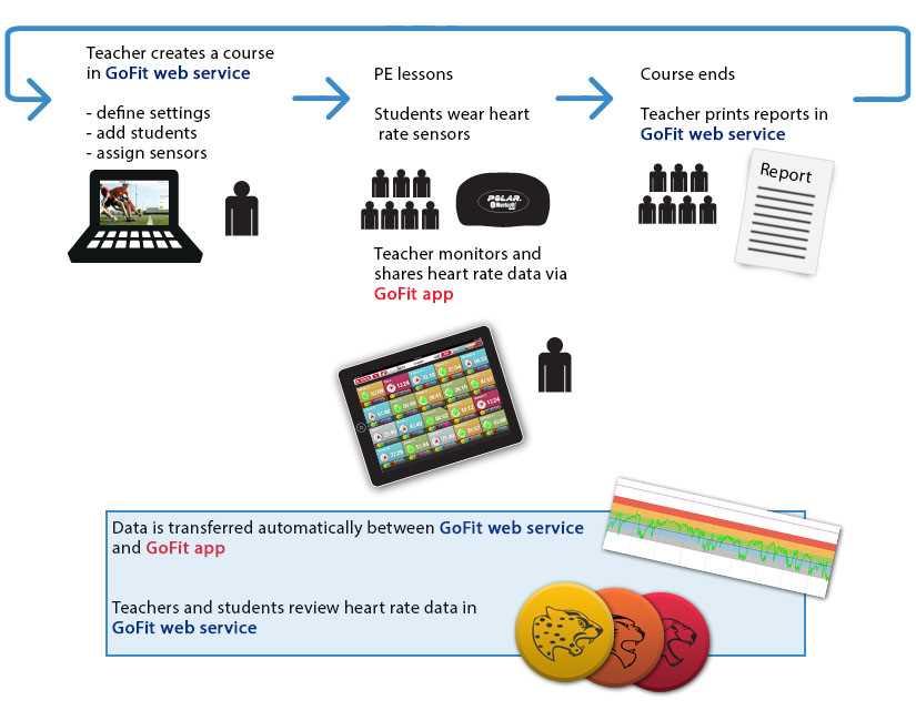Opettajalla voi olla useita samanaikaisia sykekursseja Polar GoFit -palvelussa. Oppilaat voivat osallistua useille sykekursseille samanaikaisesti, ja heille voidaan määrittää useita sykesensoreita.