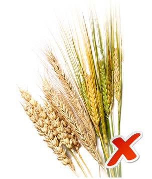 Keliakian ja vilja-allergian ero Vilja-allergia voi kohdistua eri viljan proteiineja kohtaan oireina esim.