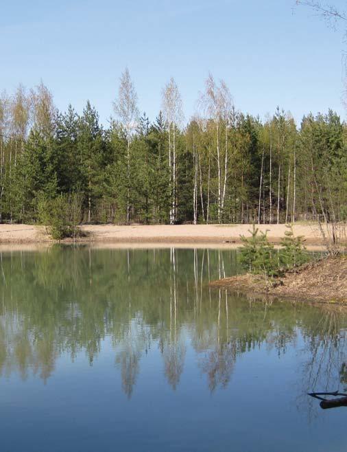 Liito-oravat Vuonna 2006 tehdyssä Sipoon yleiskaavan luontoselvityksessä selvitysalueelta ei löytynyt liito-oravaesiintymiä (Fauna ca Oy, 2010).