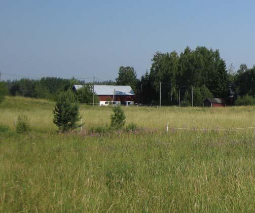 5.6 Maa- ja metsätalous Alueella toimivien vilja lojen toimintaedellytykset pysyvät suurelta osin ennallaan, sillä tulevan taajaman keskeisimpiä alueita lukuun o ama a on peltoalueet osoite u