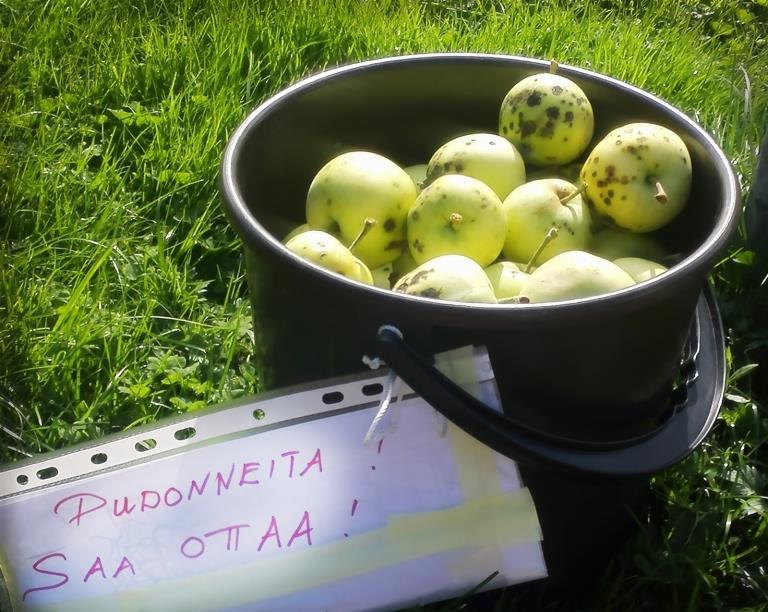 Kuva 2: Saa ottaa!