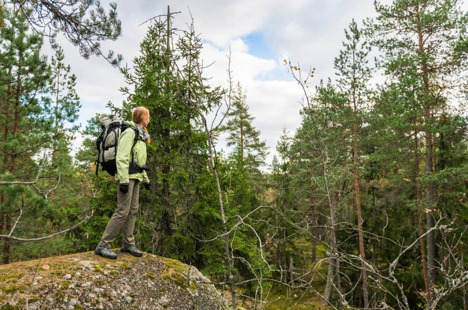 Lähiluonto tukee terveyttä ja