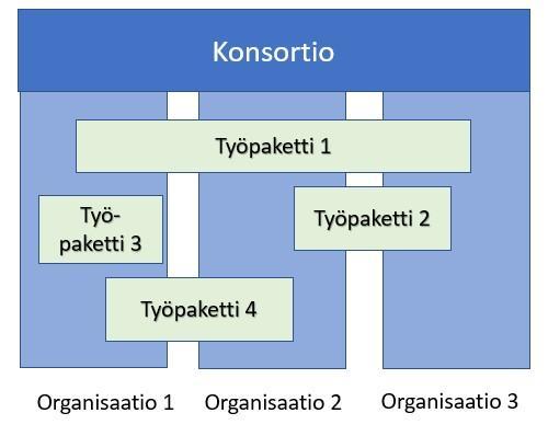 Tutkimus- ja vaikuttavuussuunnitelman toteuttaminen voidaan esittää esimerkiksi työpaketteina.