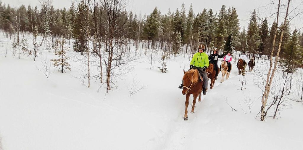 Tutkinto suoritetaan näyttämällä osaaminen omassa työssä, eli koulutus ei sisällä tenttejä tai kokeita. Koulutus alkaa syyskuussa 2017. Lisätietoja ja ilmoittautumiset: jarmo.tuovinen@coravari.fi puh.