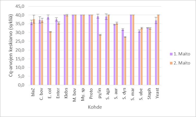21 Kuva 6. Valio luomu vanhanajan täysmaidosta eristettyjen maitonäytteiden tulokset. Eristykset tehtiin kahdesta eri maitoerästä, eikä niihin ole lisätty taudinaiheuttajia ennen analyysiä.