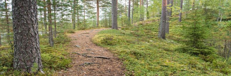 Reitti ei ole käytössä talvisin. Suunnistusreitit Lomasi aikana voit suunnistaa tavoitteellisesti Vierumäen luonnon kauniissa maastossa. Kiintorastiverkosto on maastossa läpi vuoden.