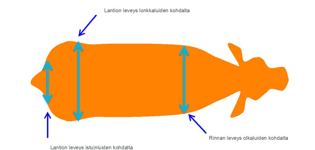 rasvan määrään. P8-kohdasta mitattuna korrelaatio lihaksen sisäisen rasvan määrään vähärasvaisilla eläimillä oli vielä korkeampi (r=0,68). Kuva 17.