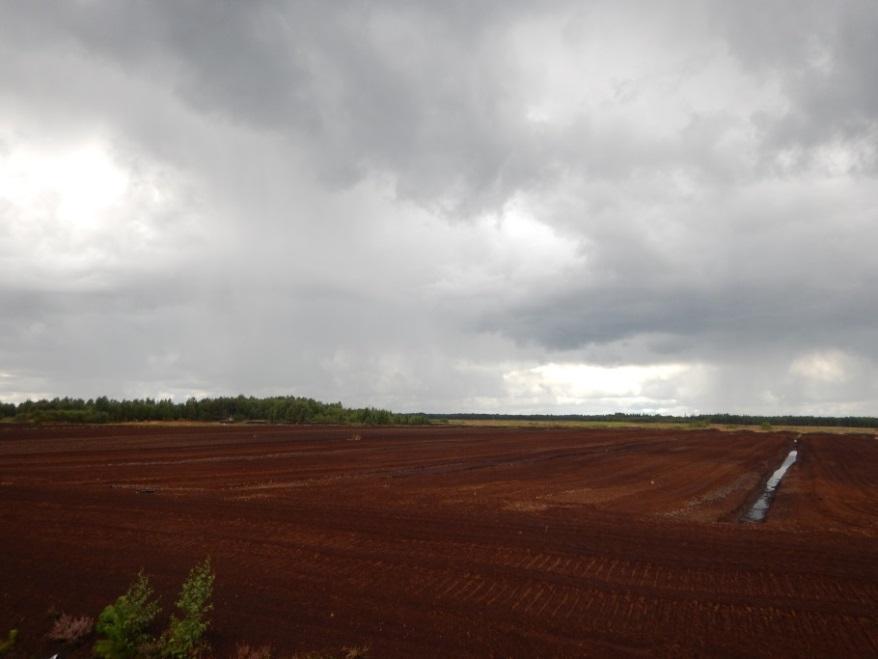 24 4 TEKNINEN KUVAUS 4.1 Hankkeen tekninen toteutus Korvanevan turvetuotantoalue muodostuu kahdeksasta tuotantolohkosta, joiden tuotantoala on 283,0 ha. Alueen auma-alueiden pinta-ala on 22,4 ha.