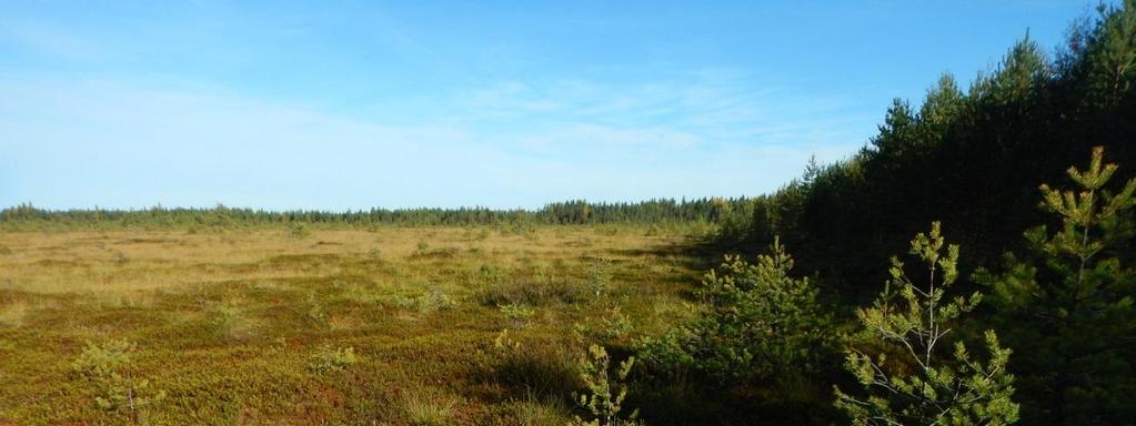 43 Kuva 7-1 Korvanevan hankealueen maisemaa. Ympäristöhallinnon Oiva-palvelun mukaan Korvanevan lähiympäristössä ei sijaitse maisemallisesti tärkeitä kohteita.