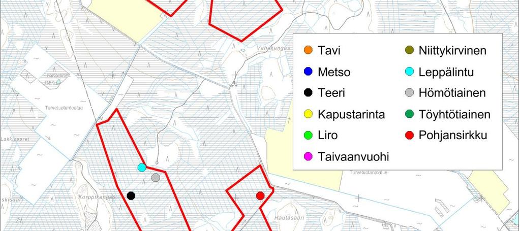 Muuttolinnusto Muuttolintuselvitys on kokonaisuudessaan liitteenä 5.