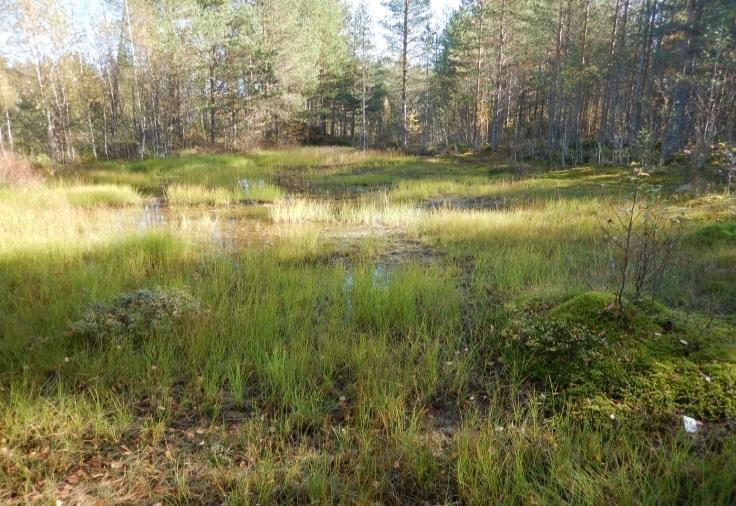 82 Taulukko 12-5 Korvanevan turvetuotantoalueen aiheuttamat muutokset vesistöalueiden pinta-alohin.