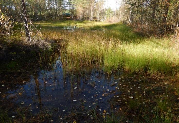 058) 2 541 ha 2 717 ha + 176 ha 1 473 ha 1 399 ha 74 ha Jalasjoen valuma-alueen pinta-ala on 966 km 2 (järvisyys 1,01 %).