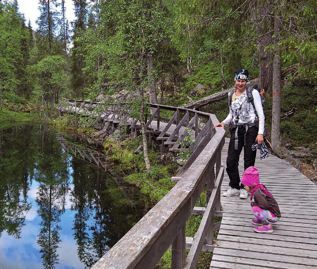 taneita. Kävijätutkimukseen vastanneet naiset olivat keskimäärin miehiä korkeammin koulutettuja.