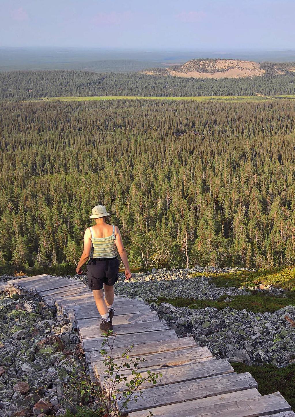 Retkeilijä ilta-auringon kultaamilla Ukko-Luoston portailla.