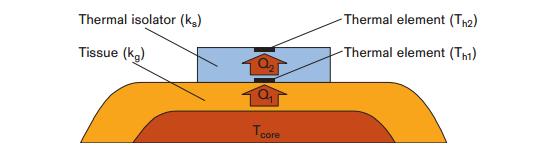 Kuva 2. Drägerin double-sensor -anturin poikkileikkauskuva. T core (Dräger Medical GmbH 2013, Kimberger ym.