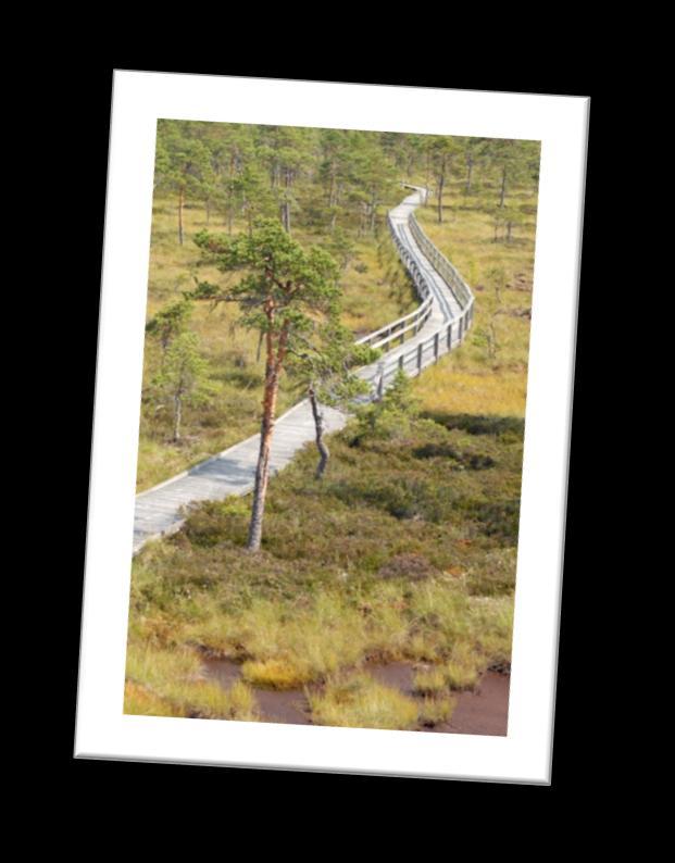 11 LIITE 1. Kutsu/ohjelma Lauhanvuoren - Hämeenkankaan luontomatkailualueen Geopark-työpaja Geopark-valmisteluhankkeen sisältöjen suunnittelu ja alueellisesta yhteistyöstä sopiminen Aika Maanantai 5.