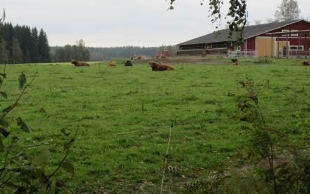 III Kellokorven viljelylaakso, maisemallinen arvo.