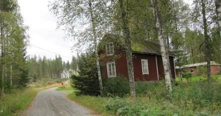 sammaloitunut huopakatto.