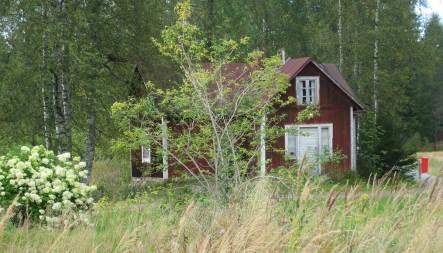 Hirsiaitta jonka ovea on levennetty.