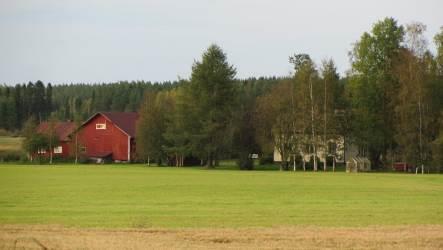 16. Koti-Koivula: RH, MA 1949-50