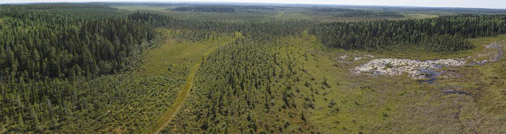 Rauhoitusalueverkosto kattavammaksi More comprehensive network of conservation areas NATNET Life+ -hankkeen tavoitteena on edistää, ylläpitää ja säilyttää luonnon monimuotoisuutta.