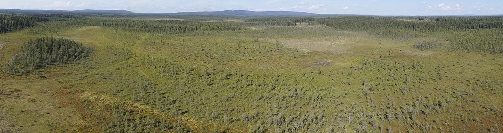 Metsähallitus Jari Ilmonen Tietokoneohjelmisto apuna kohteiden priorisoinnissa Prioritizing the areas with the help of computer software Zonation-ohjelmiston avulla hankealueelta tuotettiin