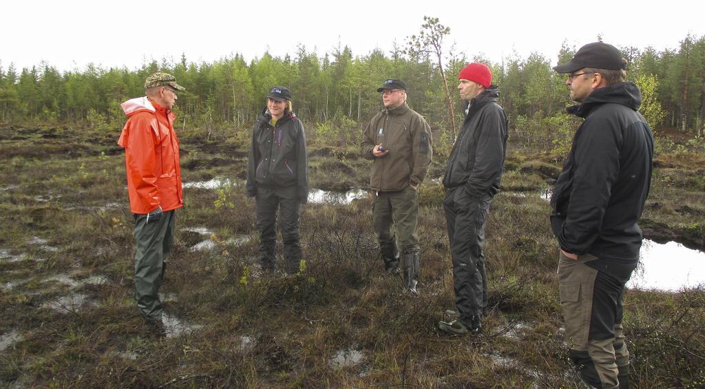 Ennallistamisalueella metsäojat täytetään maa-aineksilla tai niihin rakennetaan patoja suoveden pinnan nostamiseksi. Tarvittaessa ojalinjat hakataan ja alueen puustoa harvennetaan ennen ojien täyttöä.