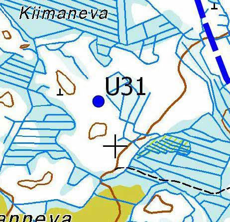 Turbiinipaikka U31 Kasvillisuuskuvaus: Kanervatyypin (CT) kuivan ja puolukkatyypin (VT) kuivahkon kankaan männikköä, jonka pituus on 12 20 metriä.