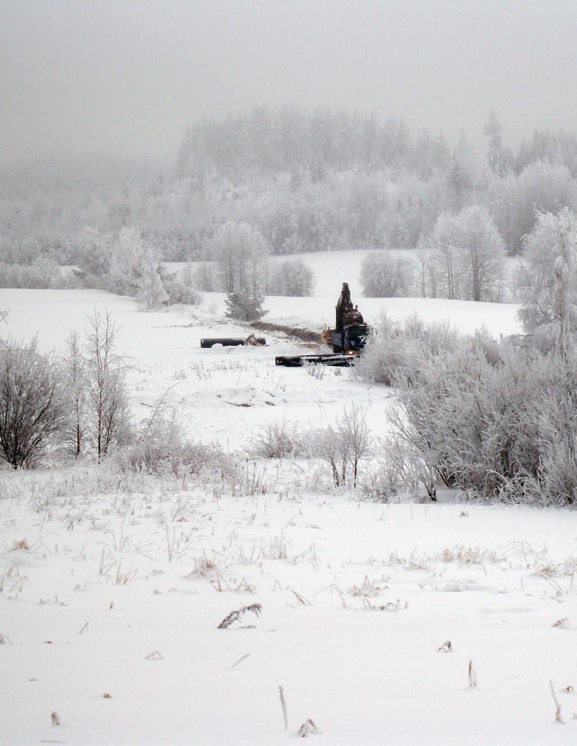 2 Hankeraportti 7, maaliskuu 2010 Hankeraportti 7, maaliskuu 2010 3 Sisällysluettelo Projektipäällikön katsaus hankkeeseen...4 Yleistä Kärki Muukko... 6 Ahvenlampi Mansikkala.