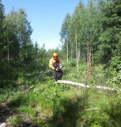 Metsätien rakentaminen omalle maalle Pohdi mihin tie kannatta tehdä Myy