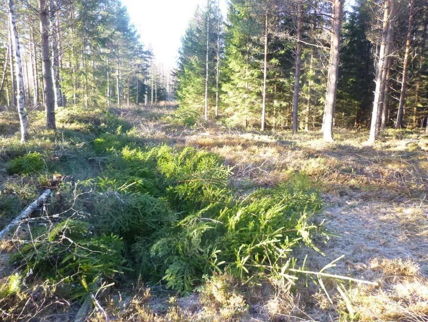 Rakennusjärjestys Alueella noudatetaan Tarvasjoen kunnan rakennusjärjestystä, mikä on tullut voimaan 1.1.2007 Pohjakartta Alueen pohjakartta on Blom Kartta Oy:n laatima ja se hyväksyttiin 2008.