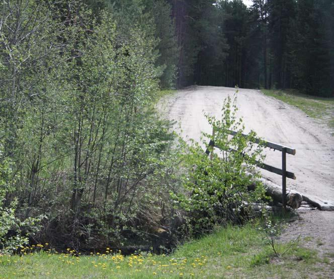 8»» sanasuari»»rahvas mustellah Nuorižon ilot Galina Ol kina Joga polvel lapsestandan da nuorel aigua meni ilozeh ei yhten jyttyöh.