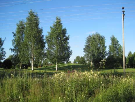 Alueen pohjoisosassa on melko uusia 1980 90 luvulla rakennettuja matalia harjakattoisia rivitaloja ja