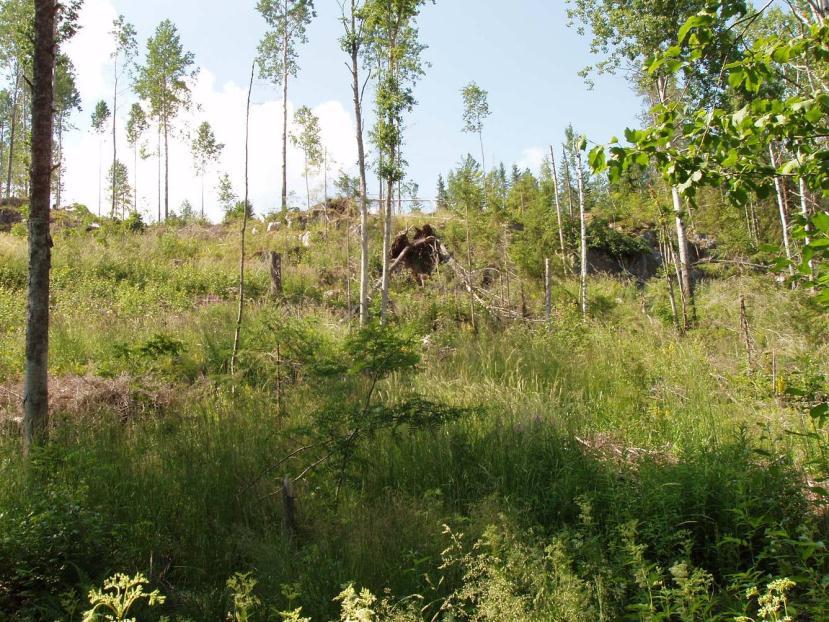 Vesiluonto Suunnittelualue ei sijoitu luokitellulle pohjavesialueelle.