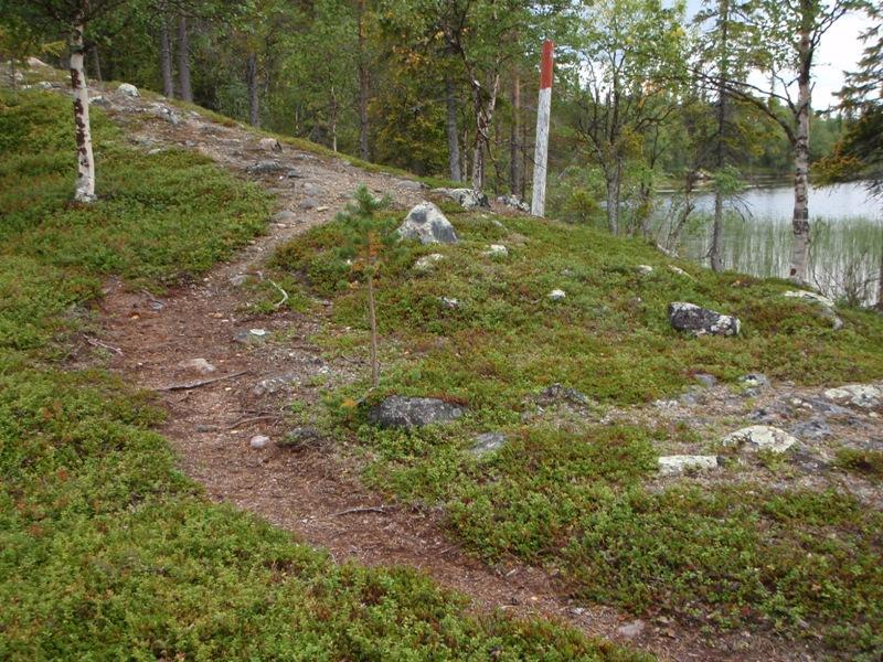 Kuvattu itäkaakosta. Kuva 68. Pallaslompoloharju S.