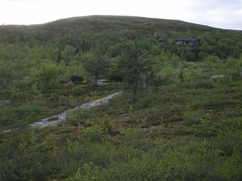 Kuva 73. Nammalakuru. Asuinpaikan pohjoisempi löytöpesäke lähiympäristöineen.