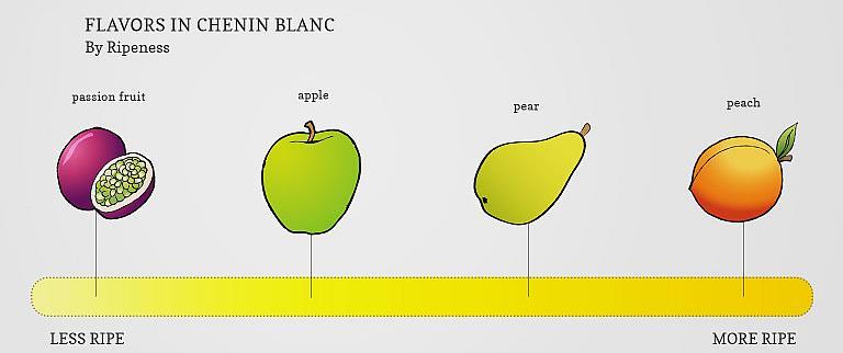 Chenin Blanc Chenin Blanc -rypäleen aromit