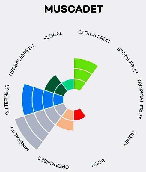 Flavour profile 1.Citrus Fruit: Including aromas of lemon, lime, grapefruit, orange and citrus zest 2.Stone Fruit: Including aromas of nectarine, peach, apricot, apple and pear 3.