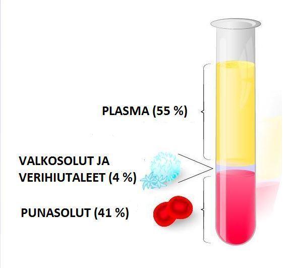 26 4.3. Solujen eristäminen Ficoll-fraktiolla Kudoksista ei aina haluta eristää ainoastaan DNA:ta, vaan halutaan tutkia tai säilyttää eläviä soluja kokonaisina.