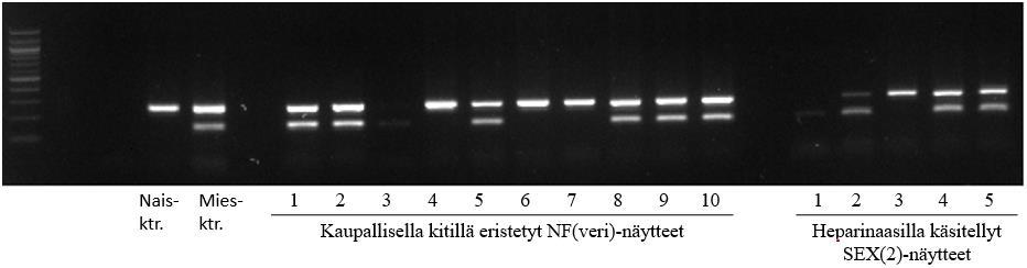 Näytteen NF(veri)-3 vyöhykkeiden puute johtui hävikistä reaktioseoksessa.