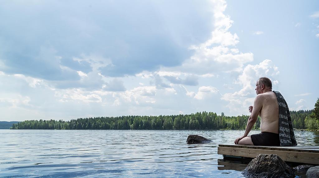 Moniaistisuus, näkö Näkymät ulos