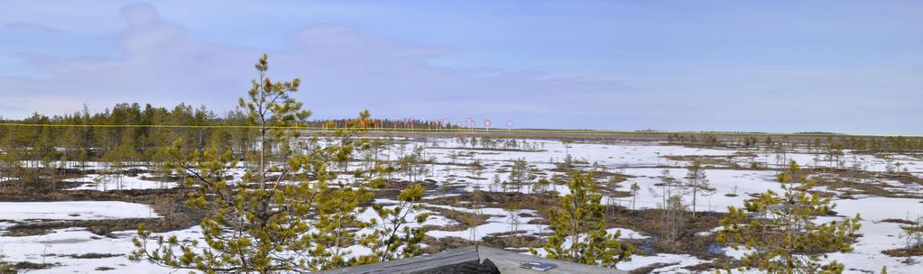 Voimalat jäävät kokonaisuudessaan Puusaarella kasvavan metsän peittoon. Valokuvasovite 12.