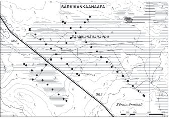 Kemijärvellä tutkitut suot, niiden turvevarat ja käyttökelpoisuus 4. Särkikankaanaapa Särkikankaanaapa ( kl.